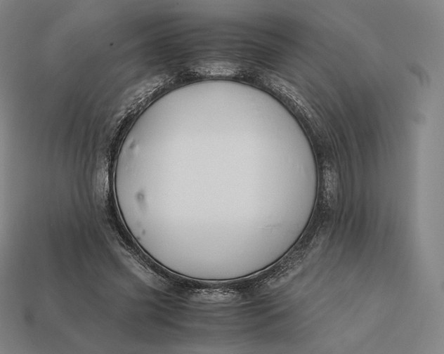 X0000113150541200909181752