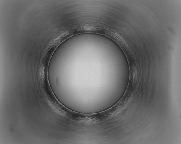 X0000113150542200909181752