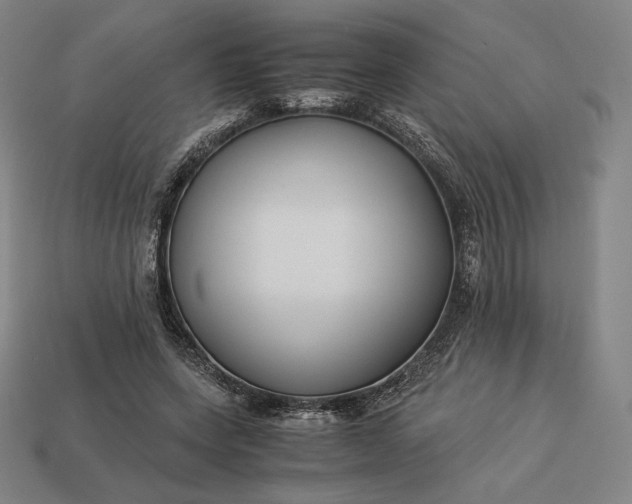 X0000113150543200909181752