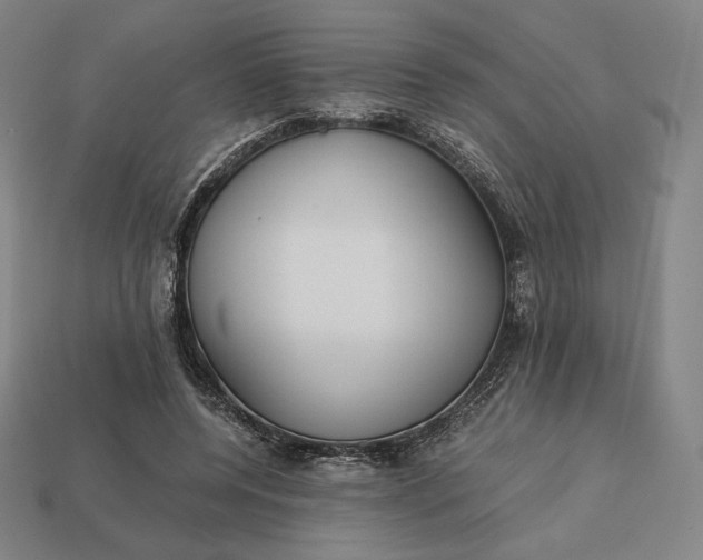 X0000113150544200909181752