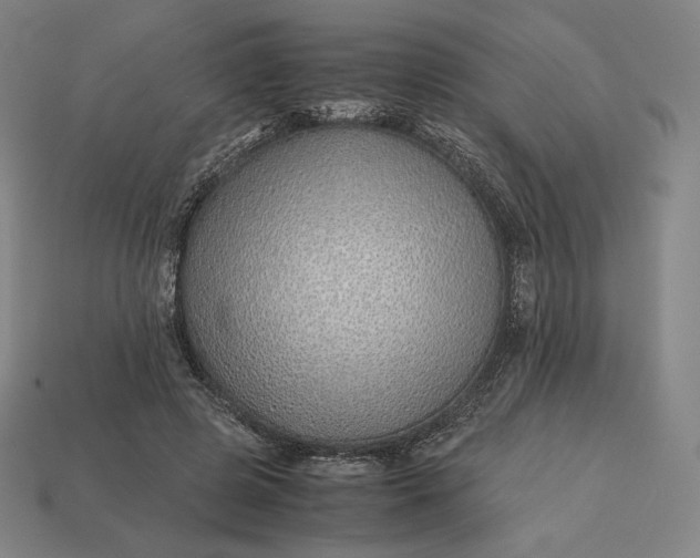 X0000113150545200909181752