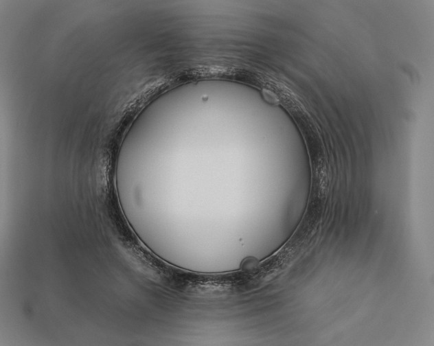 X0000113150546200909181752