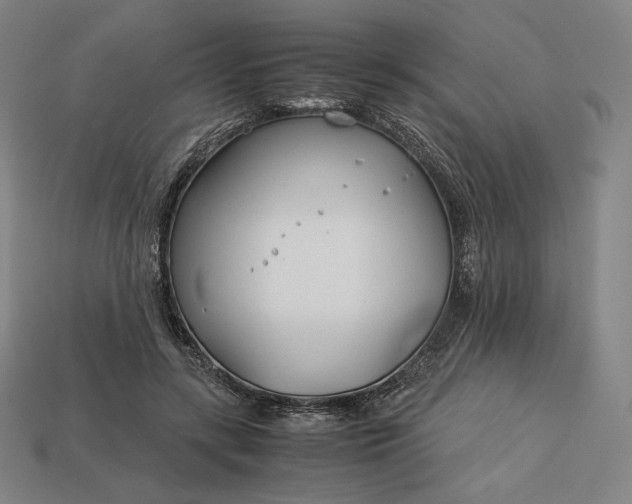 X0000113150547200909181752