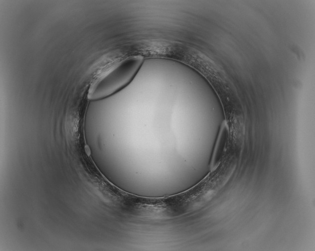 X0000113150548200909181752