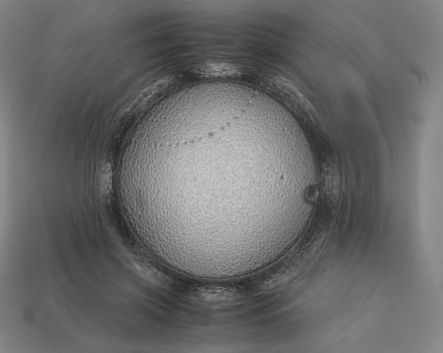 X0000113150549200909181752