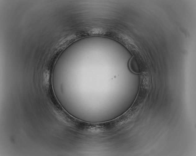 X0000113150550200909181752