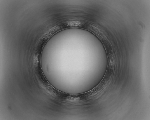 X0000113150551200909181752