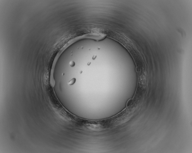 X0000113150552200909181752