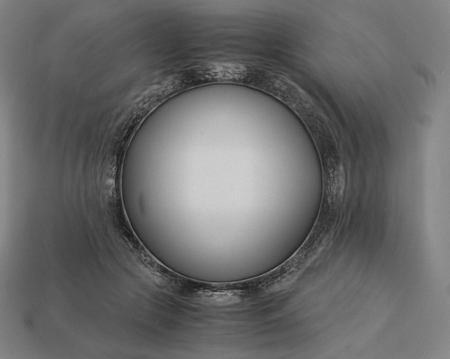 X0000113150553200909181752