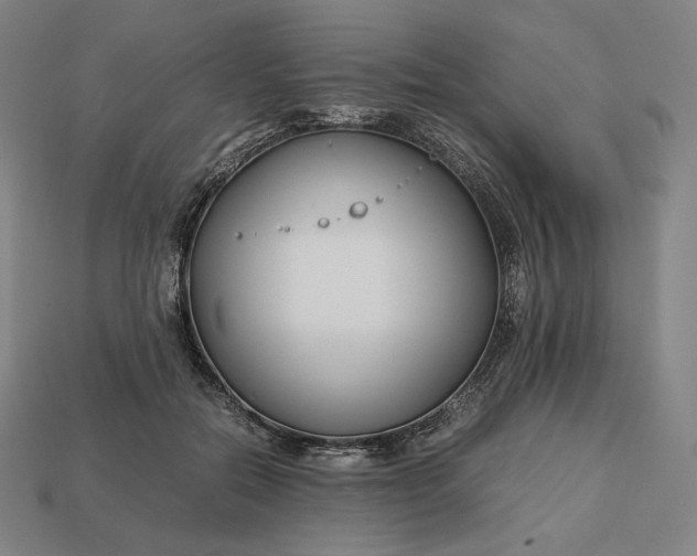 X0000113150554200909181752