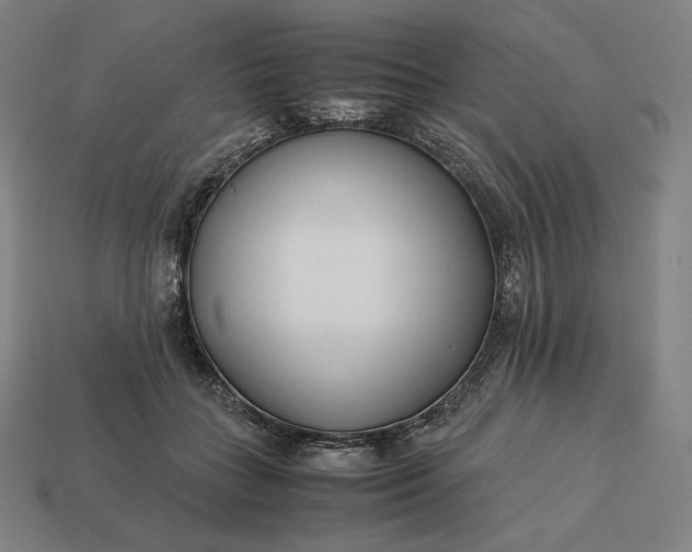 X0000113150555200909181752