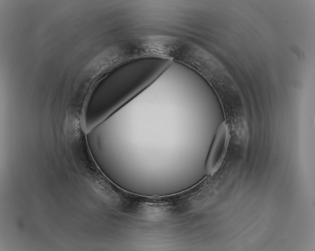 X0000113150556200909181752