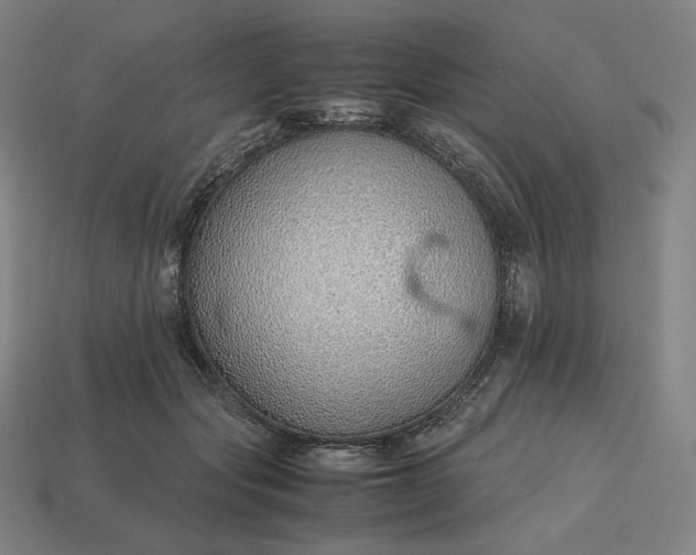 X0000113150557200909181752