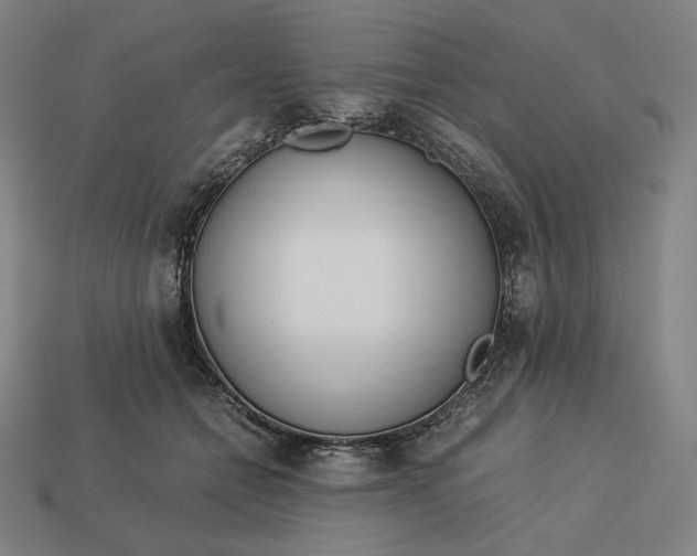 X0000113150558200909181752