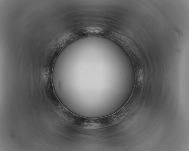 X0000113150559200909181752