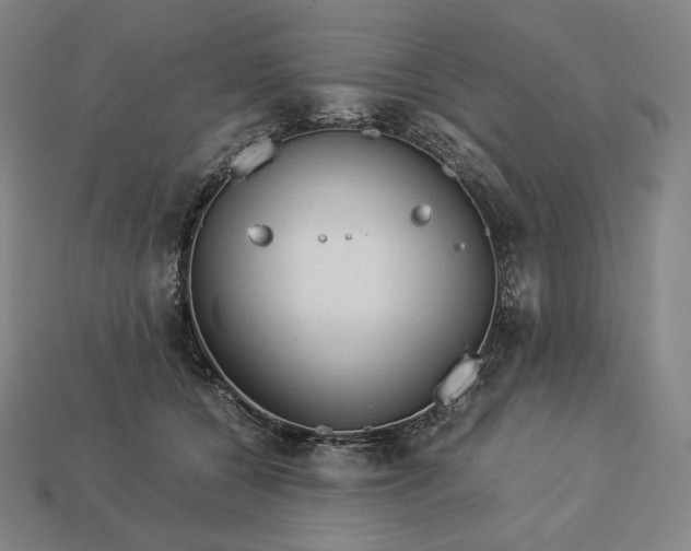 X0000113150560200909181752