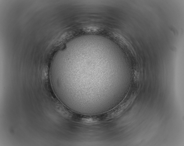 X0000113150561200909181753