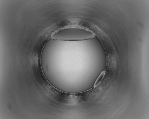 X0000113150562200909181753