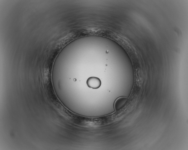 X0000113150563200909181753