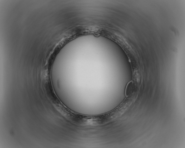 X0000113150564200909181753