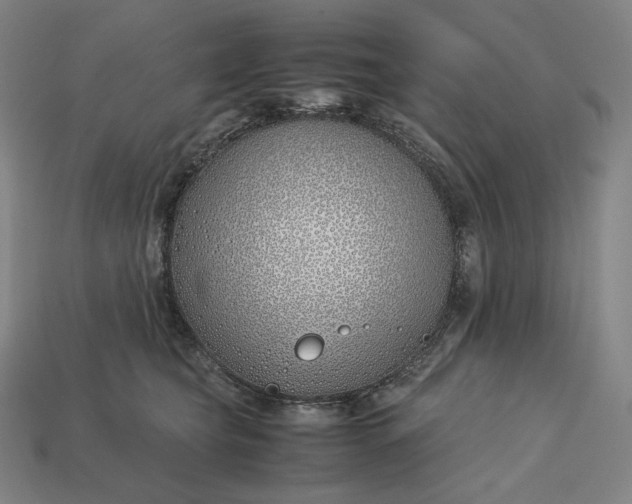 X0000113150565200909181753