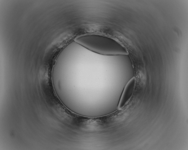 X0000113150566200909181753