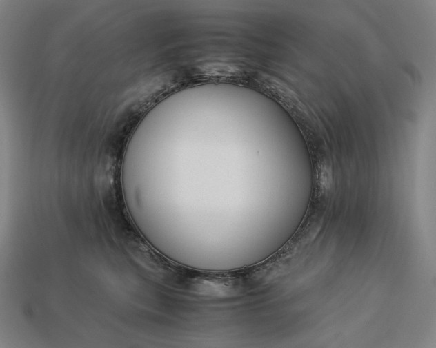 X0000113150567200909181753