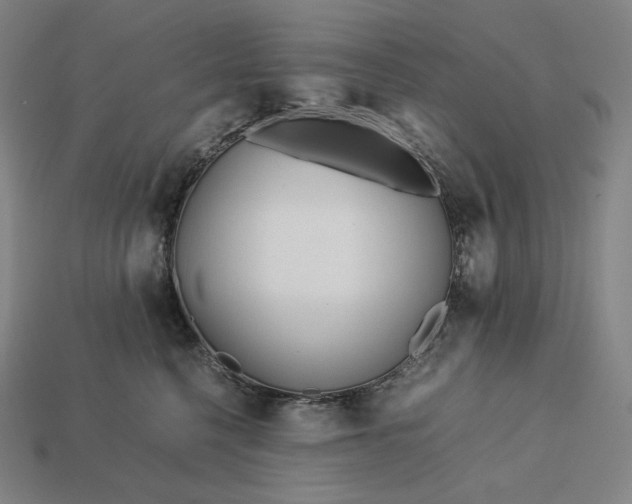 X0000113150568200909181753