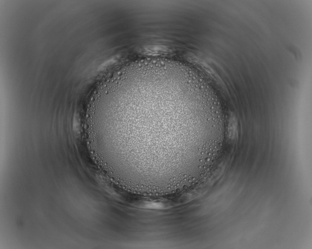 X0000113150569200909181753