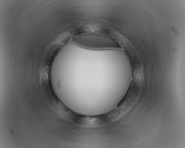 X0000113150570200909181753