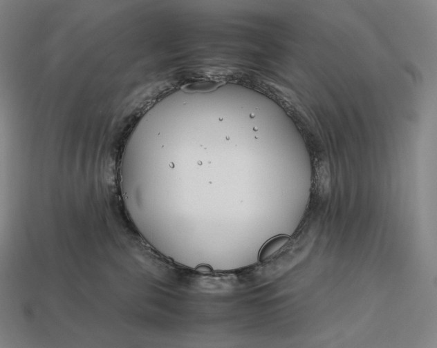 X0000113150571200909181753