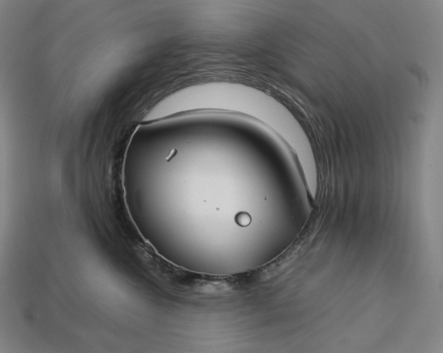 X0000113150572200909181753