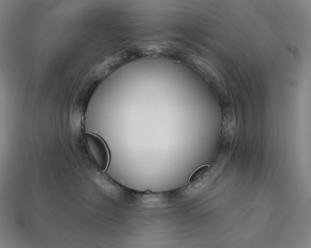 X0000113150574200909181753