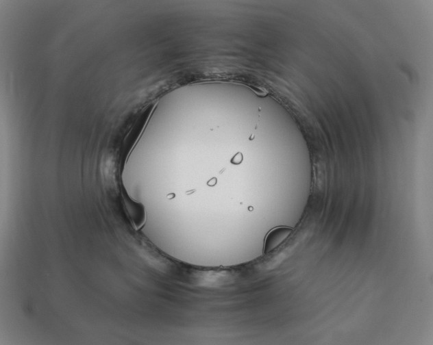 X0000113150575200909181753