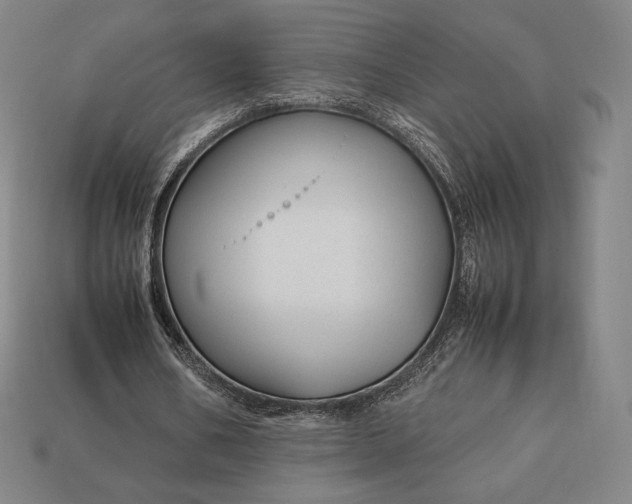 X0000113150578200909181752