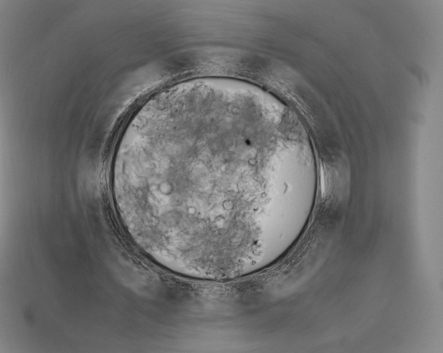 X0000113150579200909181752