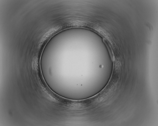 X0000113150581200909181752