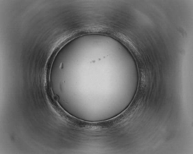 X0000113150582200909181752