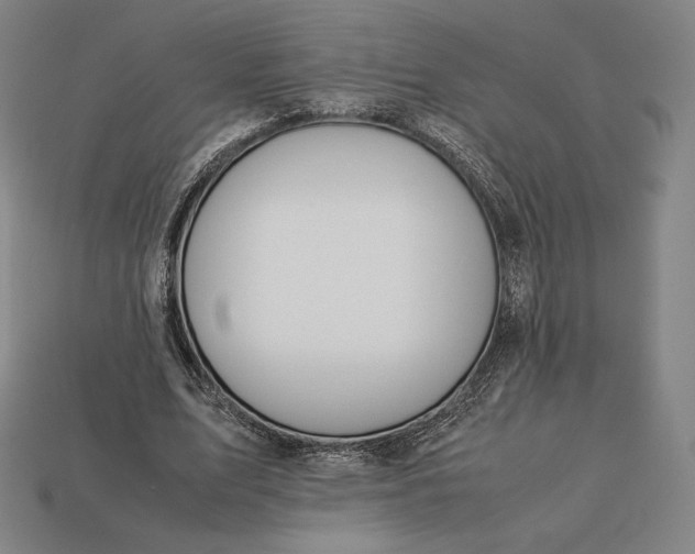 X0000113150583200909181752