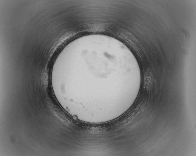 X0000113150584200909181752