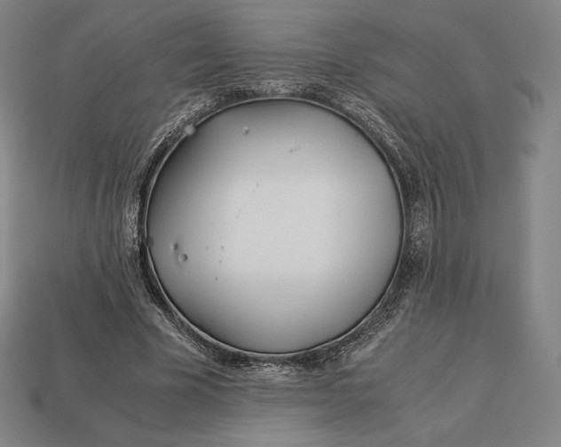 X0000113150585200909181752