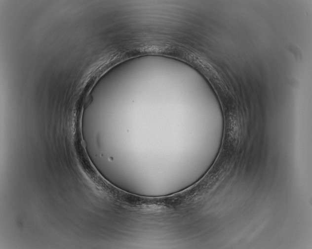 X0000113150586200909181752