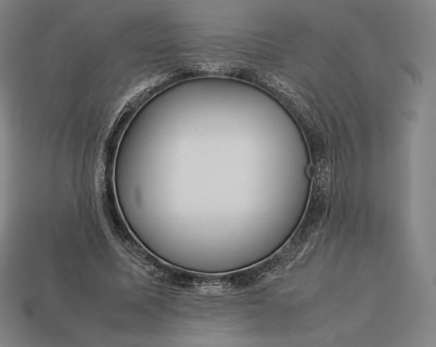 X0000113150587200909181752