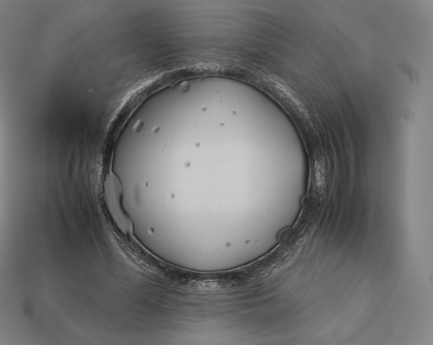 X0000113150588200909181752