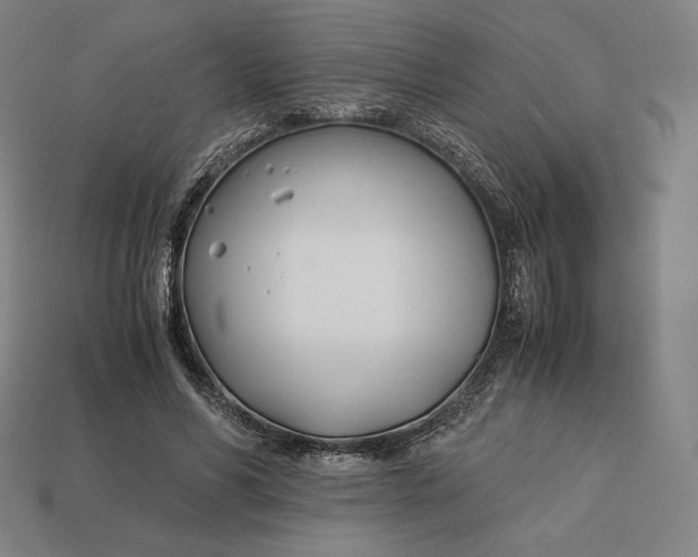 X0000113150590200909181752