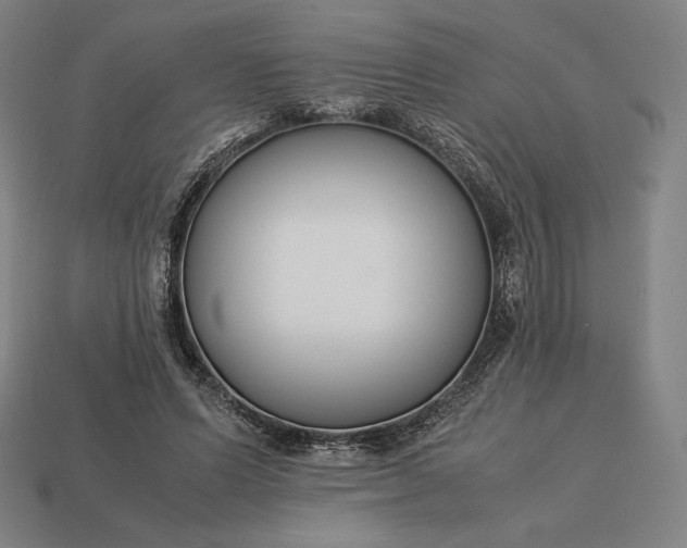 X0000113150591200909181752