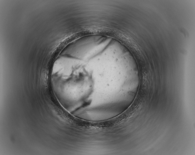 X0000113150592200909181752