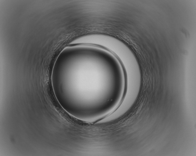 X0000113150593200909181752