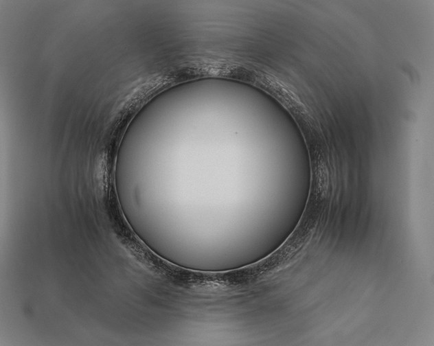 X0000113150594200909181752