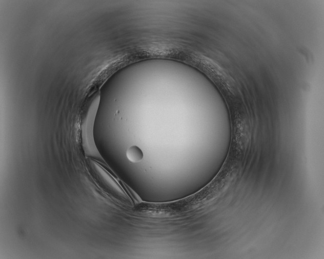 X0000113150596200909181752